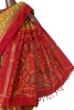 Exclusive Pochampally Silk Cotton Saree